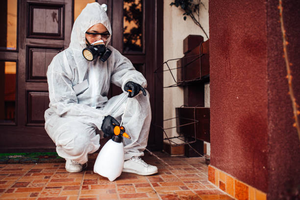 Reliable Bed Bug Control contractor in Citrus Heights, CA by Nex Pest Control