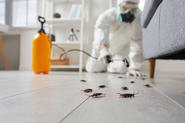 Trusted Emergency Pest Control service in Citrus Heights, CA - Nex Pest Control