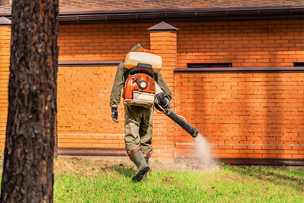 Trusted Cockroach Control service in Citrus Heights, CA - Nex Pest Control